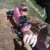 GoPro Hand, Arm, Bein Befestigung - 